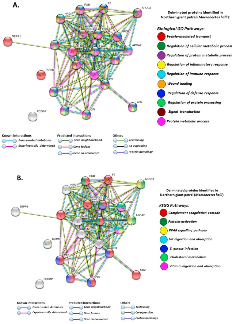 PMC7168935 – biology-09-00015-f005