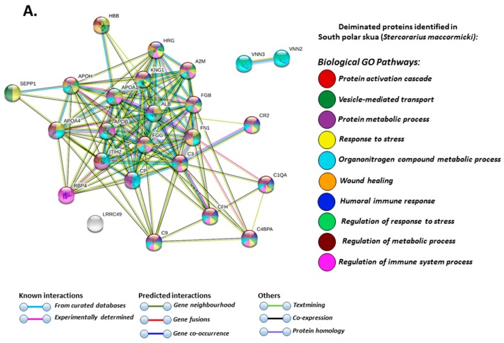 PMC7168935 – biology-09-00015-f006