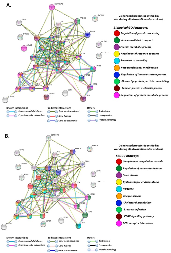 PMC7168935 – biology-09-00015-f007