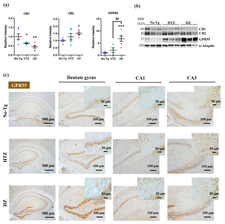 PMC7694492 – biology-09-00377-f003