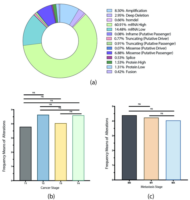 PMC8868596 – biology-11-00185-f001