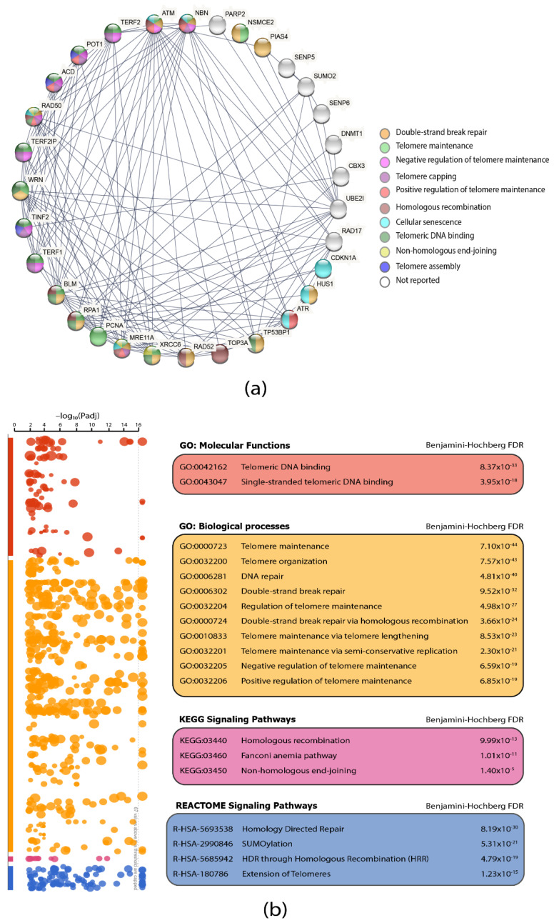PMC8868596 – biology-11-00185-f005