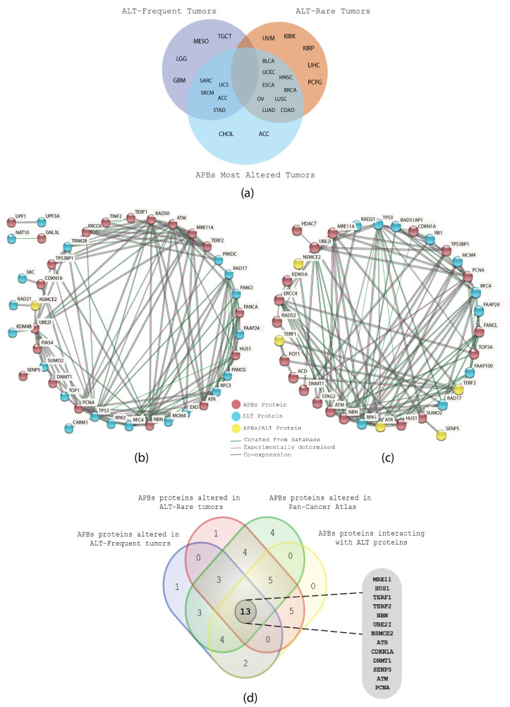 PMC8868596 – biology-11-00185-f006