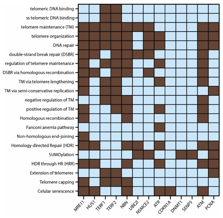 PMC8868596 – biology-11-00185-f007