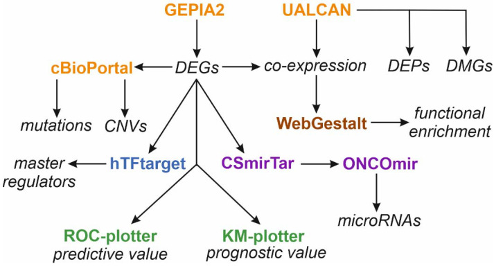 PMC9029281 – biology-11-00590-f002