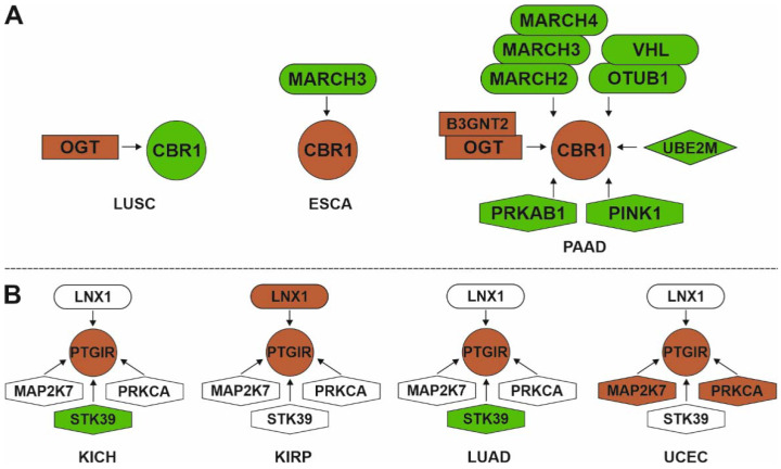 PMC9029281 – biology-11-00590-f006
