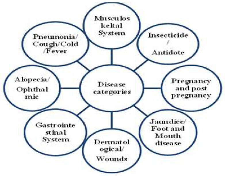 PMC9598208 – biology-11-01415-f002