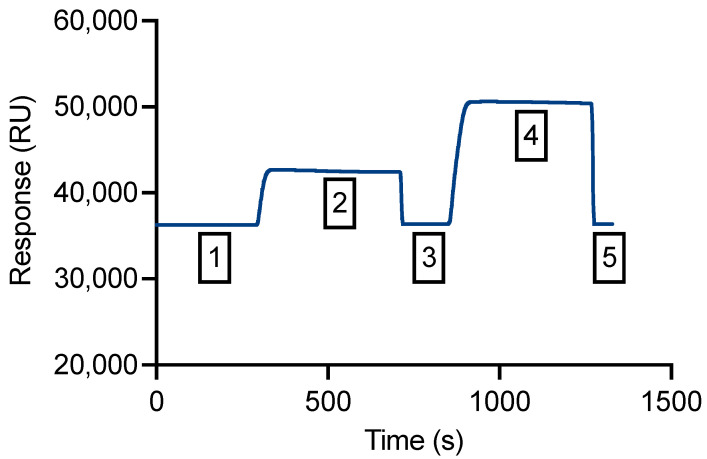 PMC9598531 – biology-11-01416-f005