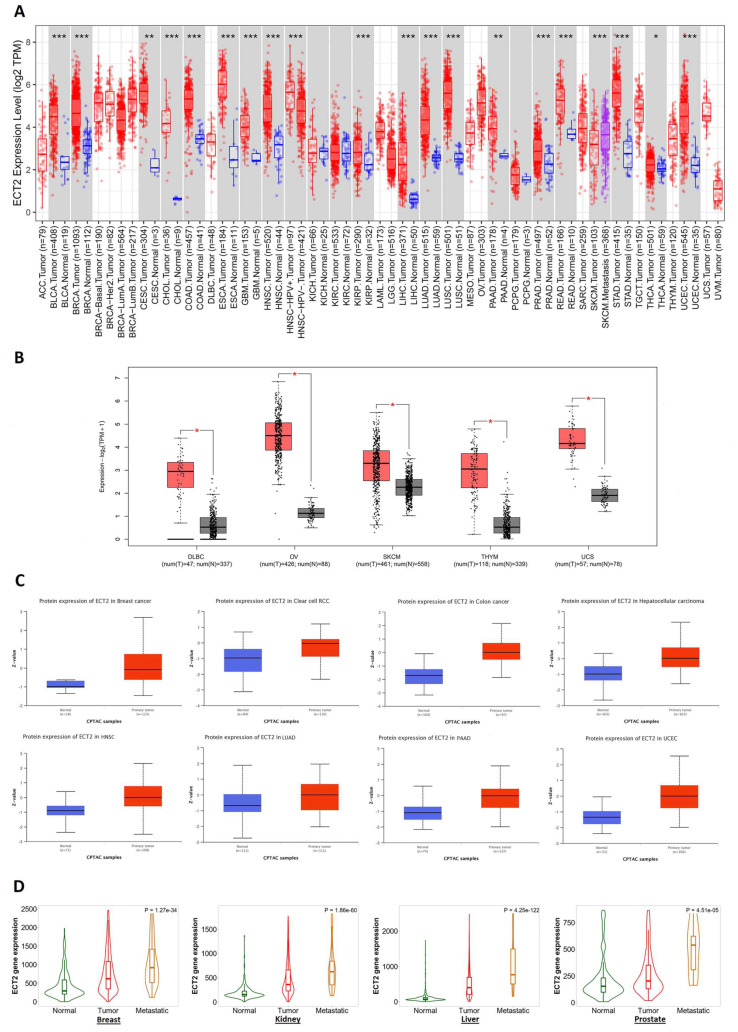 PMC10135641 – biology-12-00613-f001