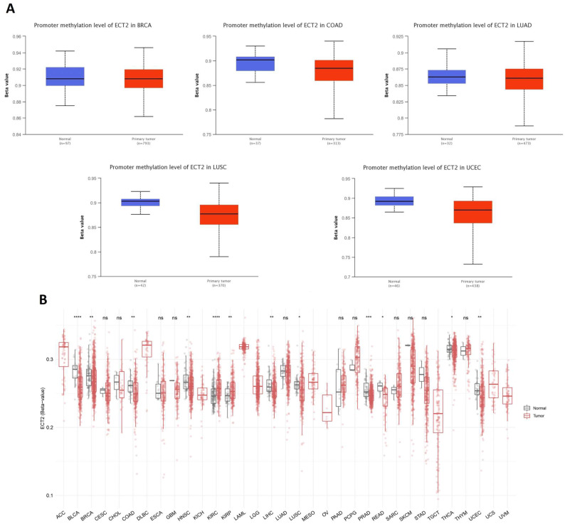 PMC10135641 – biology-12-00613-f006