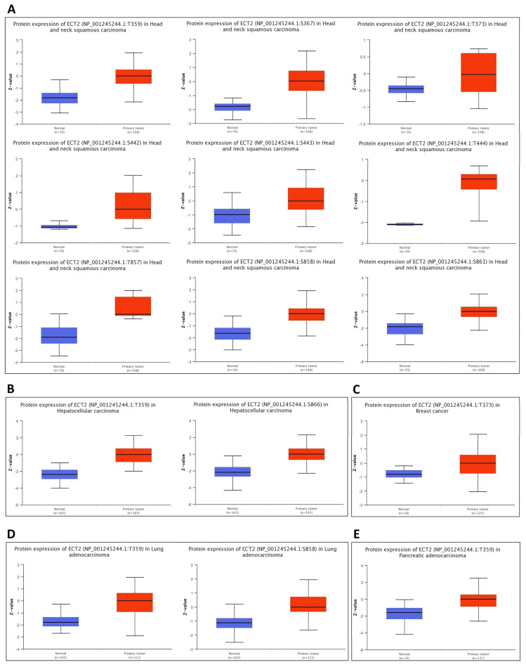 PMC10135641 – biology-12-00613-f007