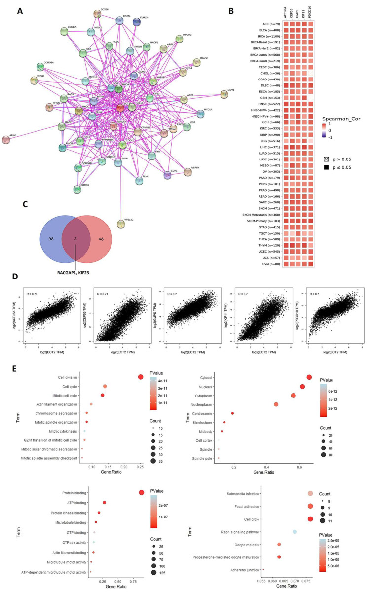 PMC10135641 – biology-12-00613-f010