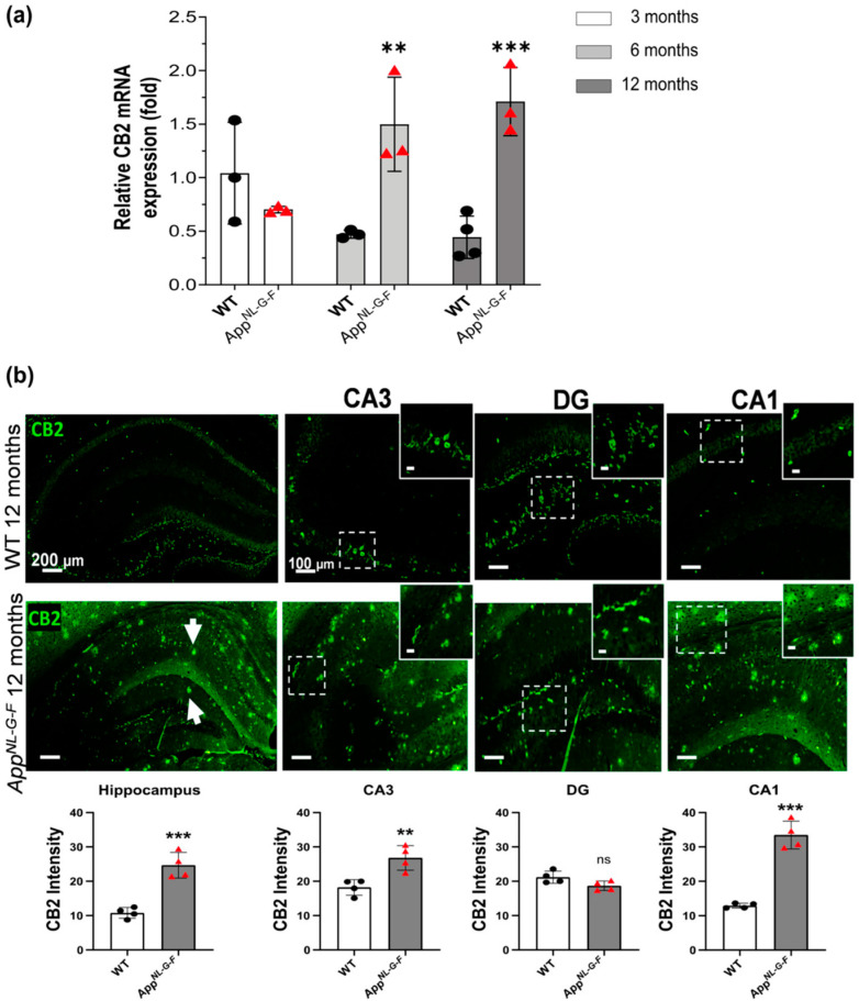 PMC10295339 – biology-12-00805-f001
