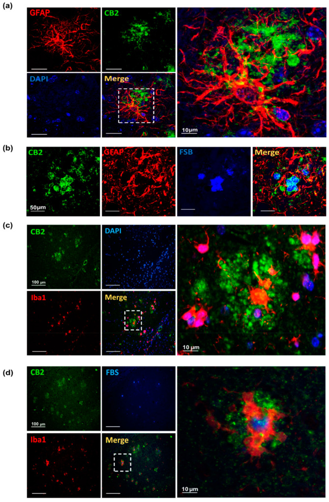 PMC10295339 – biology-12-00805-f002