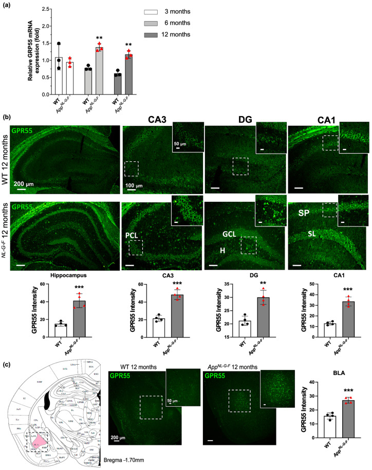 PMC10295339 – biology-12-00805-f003