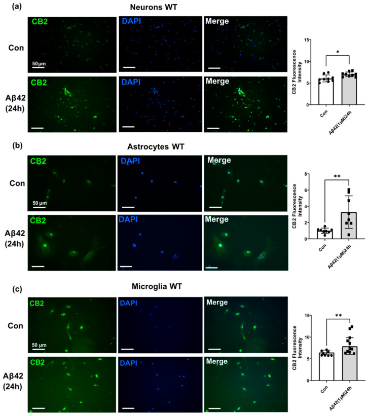 PMC10295339 – biology-12-00805-f005