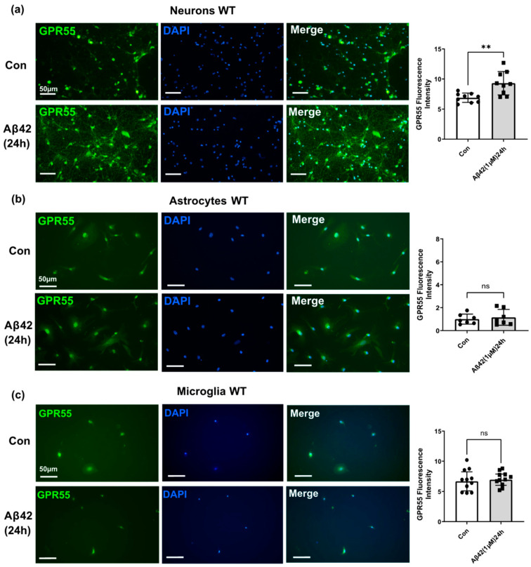PMC10295339 – biology-12-00805-f006