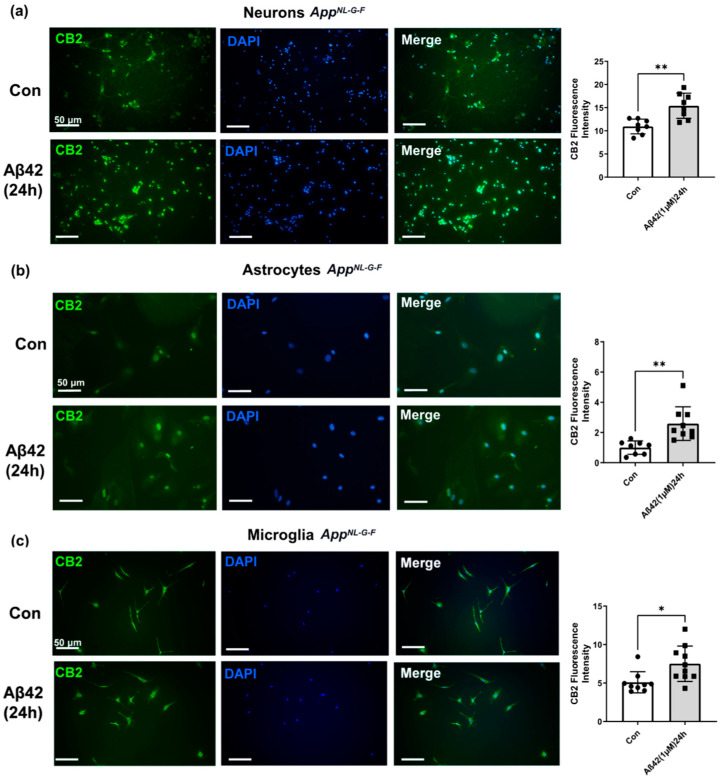 PMC10295339 – biology-12-00805-f007