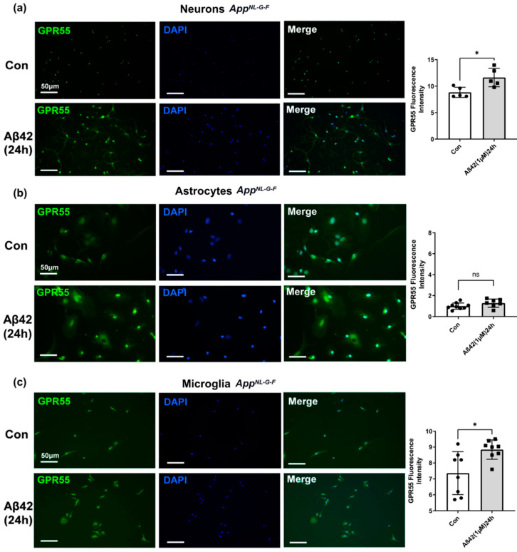 PMC10295339 – biology-12-00805-f008
