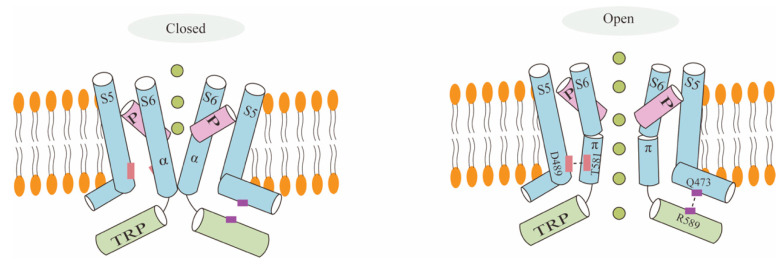 PMC10968549 – biology-13-00168-f002