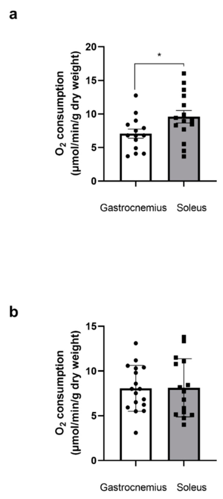PMC11673998 – biology-13-01080-f001