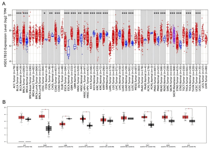 PMC12108609 – biology-14-00567-f001