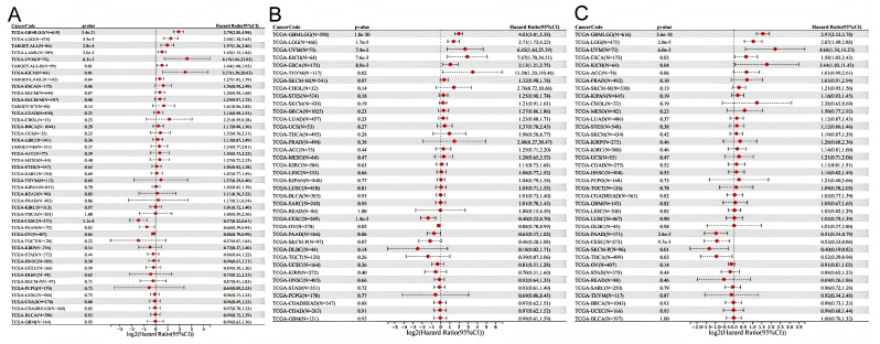 PMC12108609 – biology-14-00567-f003