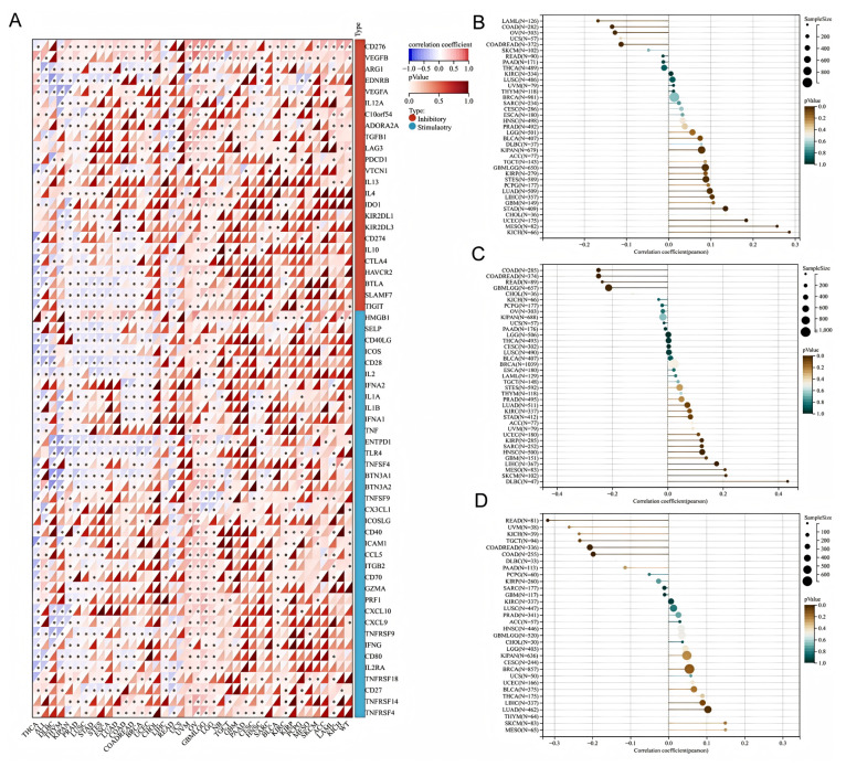PMC12108609 – biology-14-00567-f006