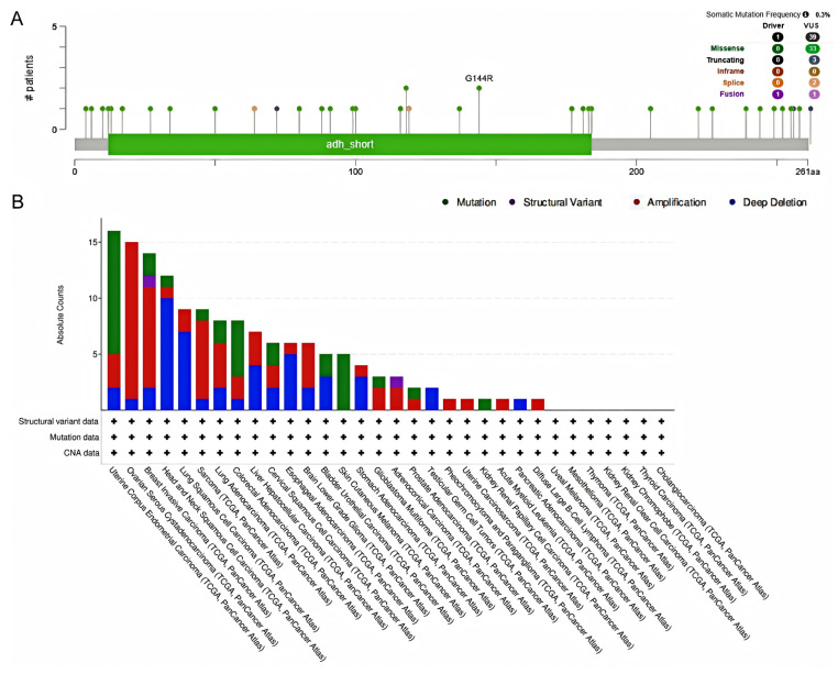 PMC12108609 – biology-14-00567-f007