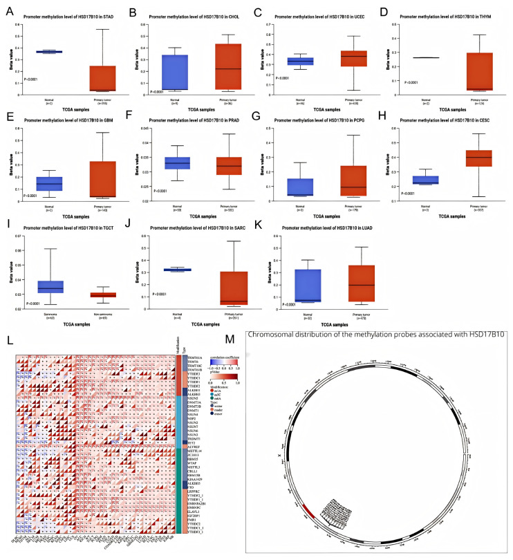 PMC12108609 – biology-14-00567-f008
