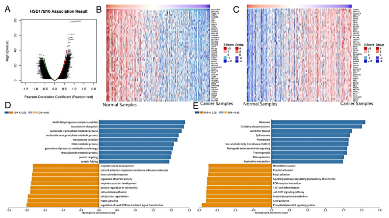 PMC12108609 – biology-14-00567-f011