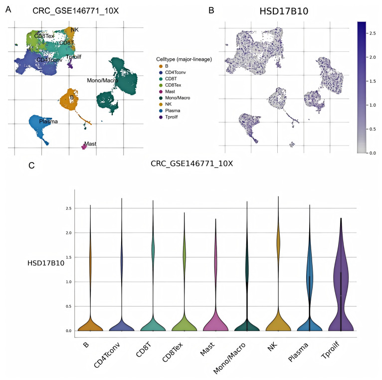 PMC12108609 – biology-14-00567-f012