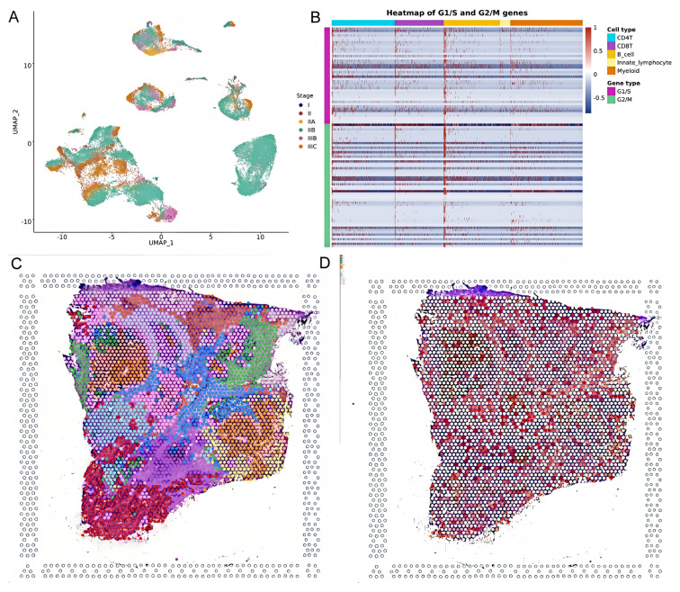 PMC12108609 – biology-14-00567-f013