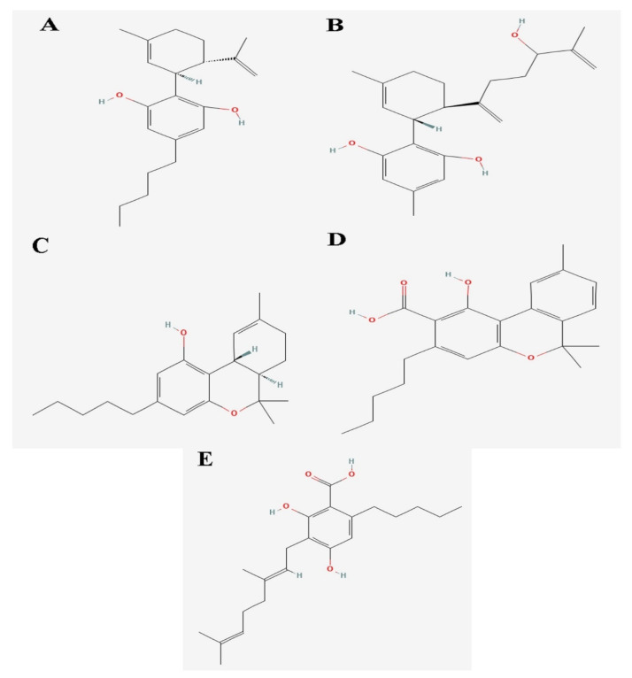 PMC12467043 – biology-14-01272-f001
