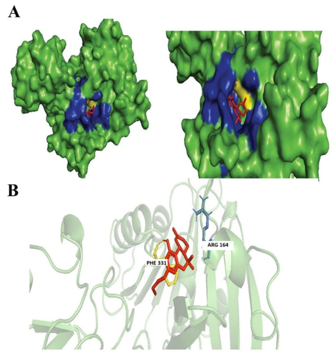 PMC12467043 – biology-14-01272-f004