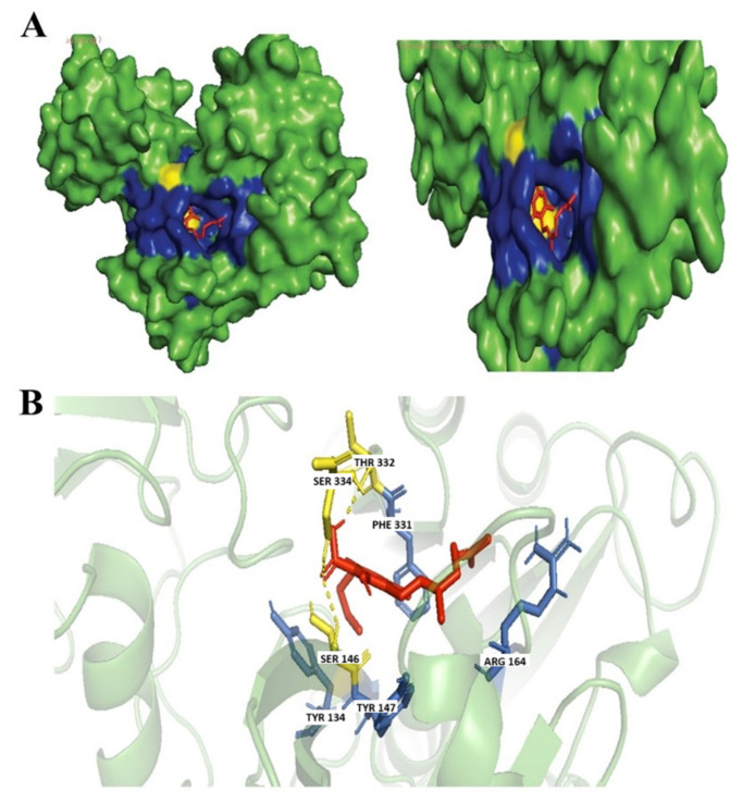 PMC12467043 – biology-14-01272-f006