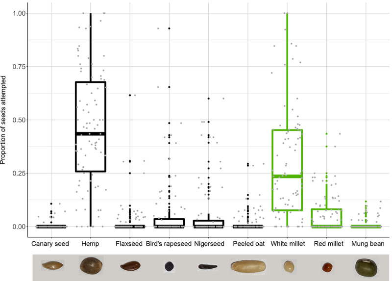 PMC11033522 – BIO060353F1