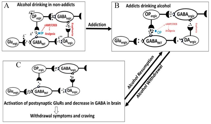 PMC6466217 – biomedicines-07-00016-f013
