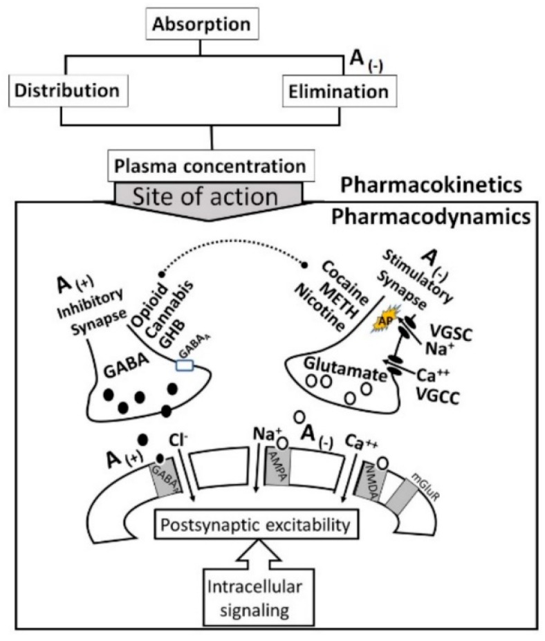PMC6466217 – biomedicines-07-00016-f021