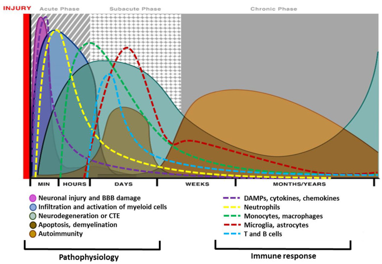 PMC7601301 – biomedicines-08-00389-f002