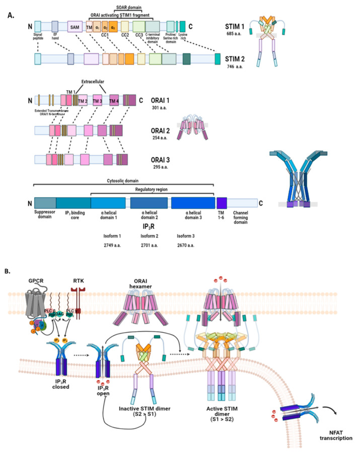 PMC8466575 – biomedicines-09-01077-f007