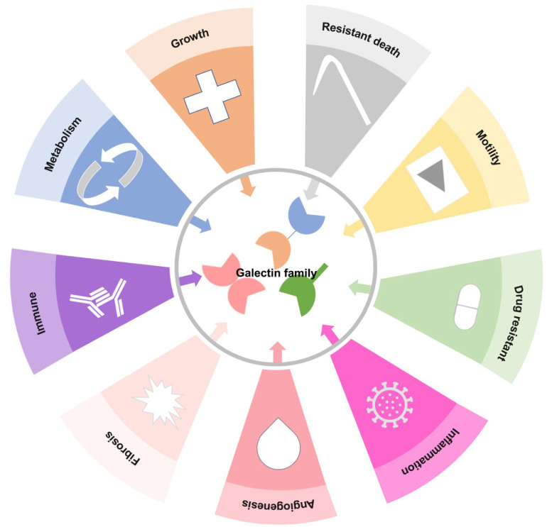 PMC8465754 – biomedicines-09-01159-f002