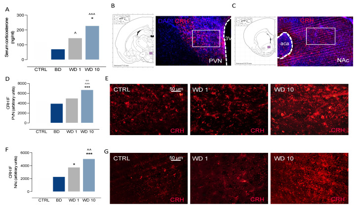 PMC8470908 – biomedicines-09-01161-f002