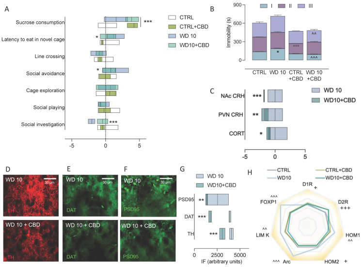 PMC8470908 – biomedicines-09-01161-f006