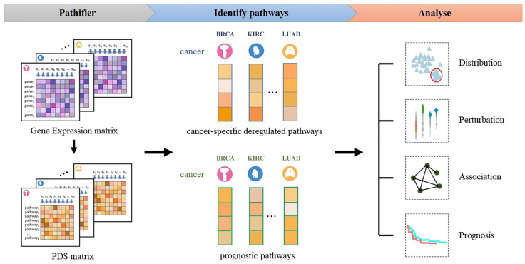 PMC8615289 – biomedicines-09-01502-f001