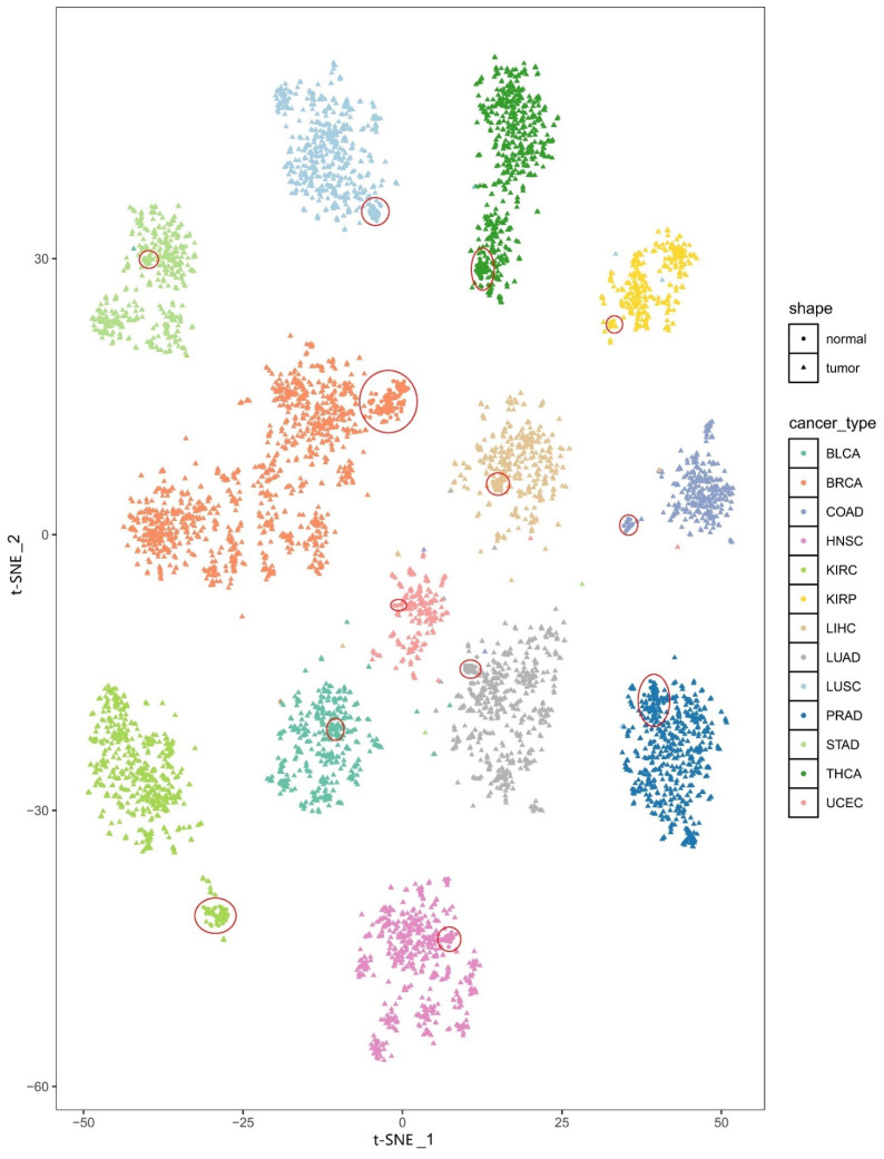 PMC8615289 – biomedicines-09-01502-f002