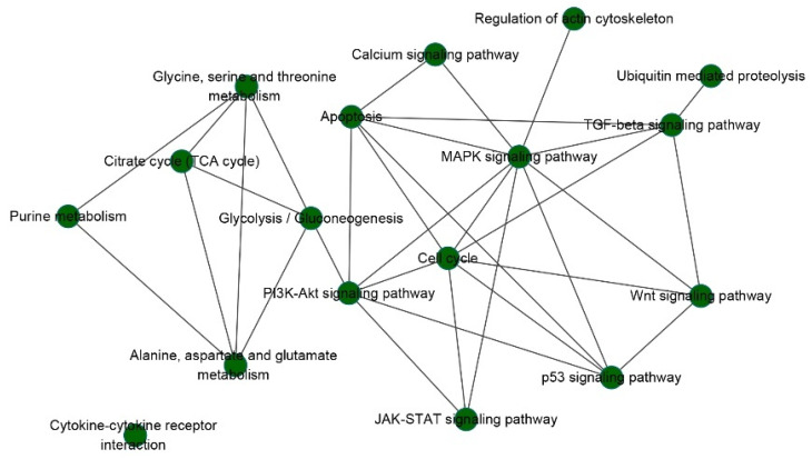 PMC8615289 – biomedicines-09-01502-f006