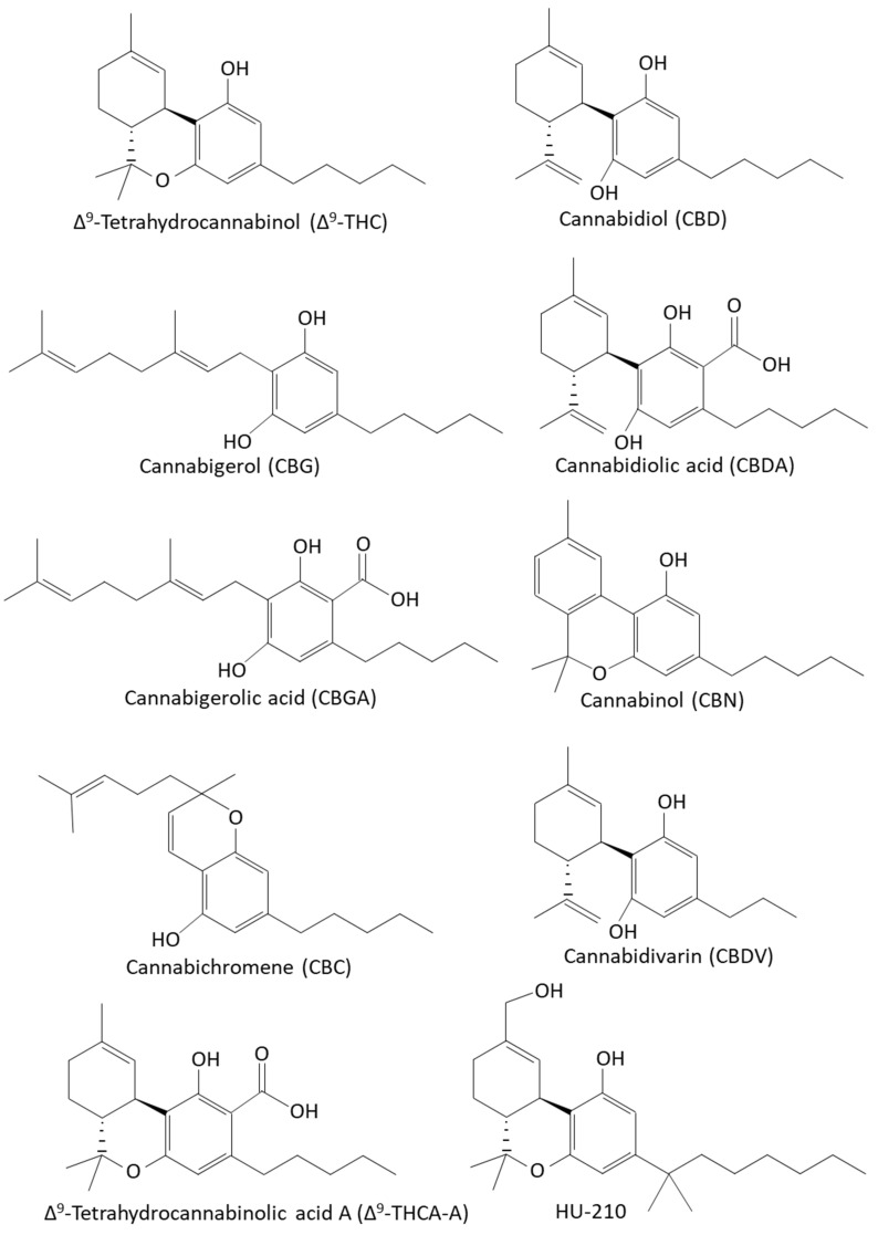PMC8945038 – biomedicines-10-00631-f001