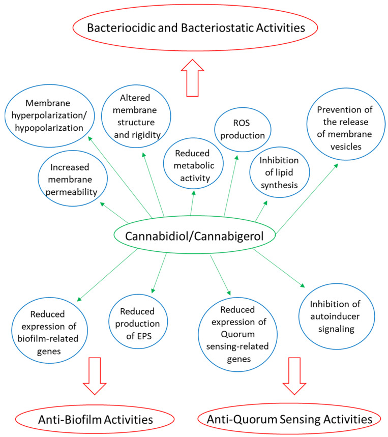 PMC8945038 – biomedicines-10-00631-f002