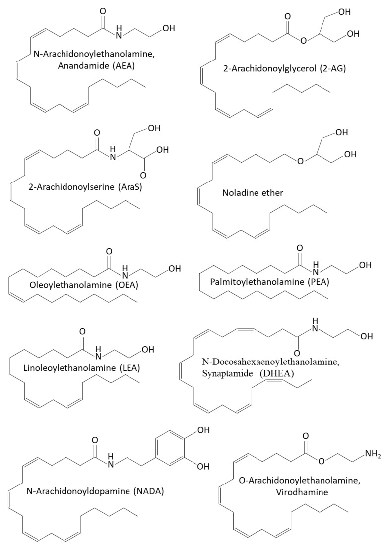 PMC8945038 – biomedicines-10-00631-f003